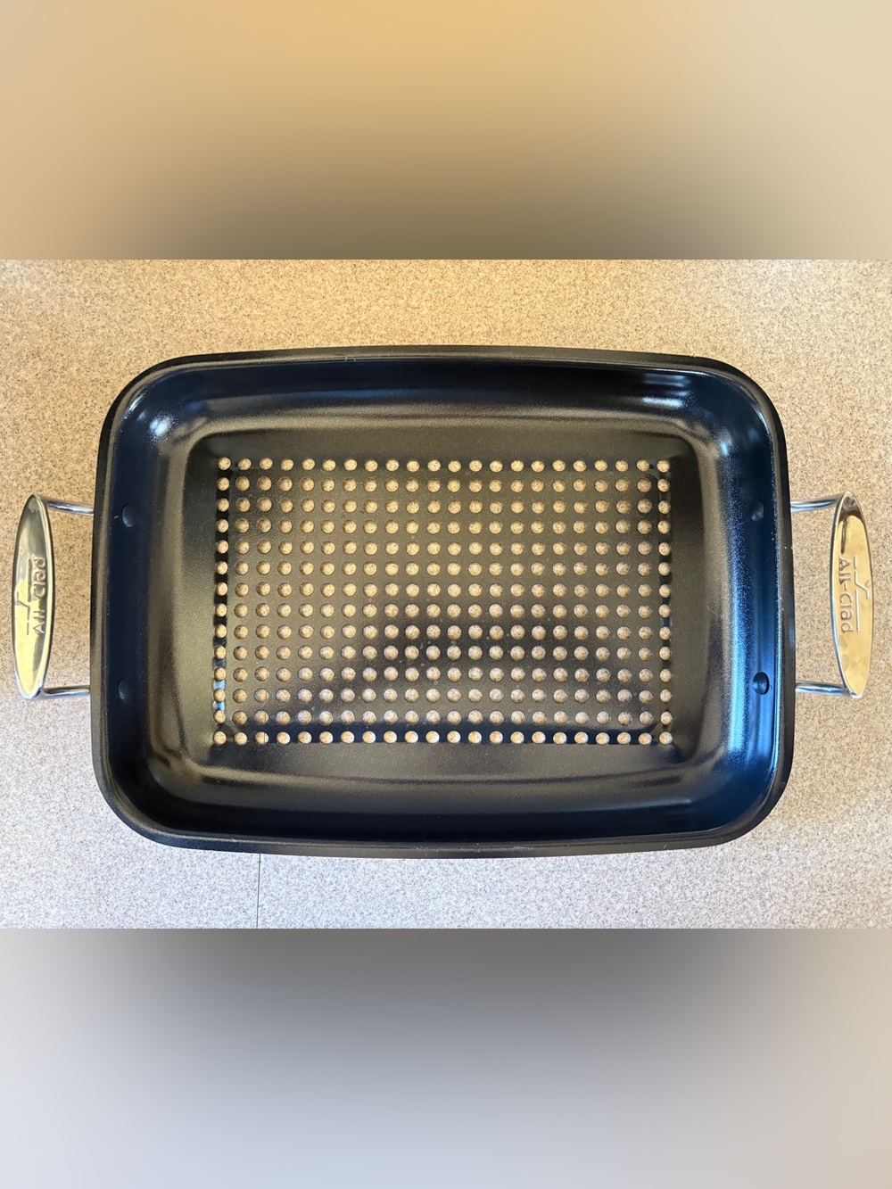 All-Clad Nonstick Outdoor Roaster 16x11x2in Grilling Pan Tray